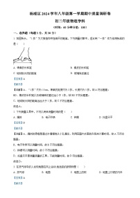上海市杨浦区2024-2025学年八年级上学期期中物理试题（解析版）-A4