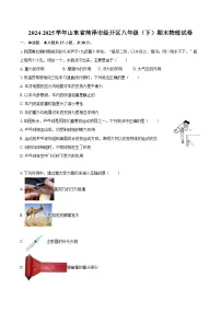 2024-2025学年山东省菏泽市经开区八年级（下）期末物理试卷-自定义类型