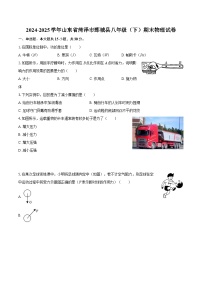 2024-2025学年山东省菏泽市鄄城县八年级（下）期末物理试卷-自定义类型