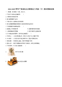 2024-2025学年广东省汕头市澄海区八年级（下）期末物理试卷-自定义类型