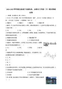 2024-2025学年湖北省咸宁市嘉鱼县、赤壁市八年级（下）期末物理试卷-自定义类型