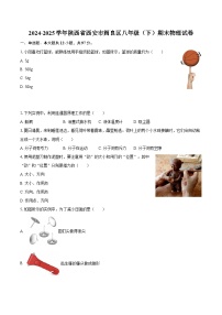 2024-2025学年陕西省西安市阎良区八年级（下）期末物理试卷-自定义类型