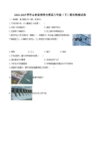 2024-2025学年山东省菏泽市曹县八年级（下）期末物理试卷-自定义类型
