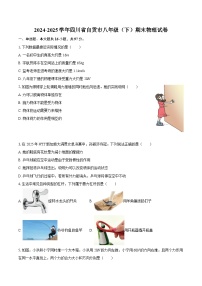 2024-2025学年四川省自贡市八年级（下）期末物理试卷-自定义类型