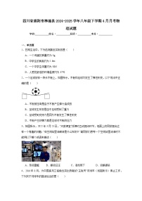 2024-2025学年四川省绵阳市梓潼县八年级下学期4月月考物理试题
