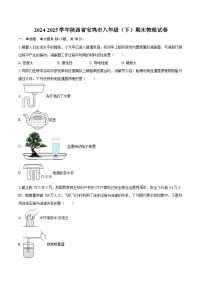 2024-2025学年陕西省宝鸡市八年级（下）期末物理试卷-自定义类型