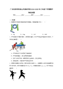 2024-2025学年广东省深圳市南山外国语学校八年级下学期期中物理试题