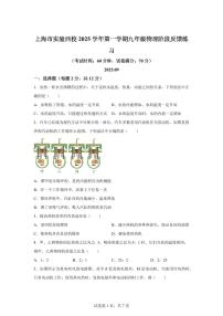 上海市闵行区上海实验西校2025~2026学年九年级上册第一次月考物理试题（含答案）