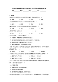 2025年新疆乌鲁木齐市沙依巴克区中考物理模拟试卷（附答案解析）