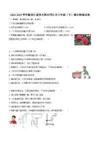 2024-2025学年黑龙江省佳木斯市同江市八年级（下）期末物理试卷-自定义类型