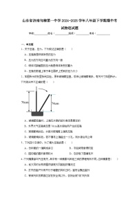 2024-2025学年山东省济南甸柳第一中学八年级下学期期中考试物理试题