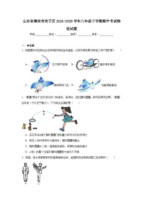 2024-2025学年山东省潍坊市坊子区八年级下学期期中考试物理试题