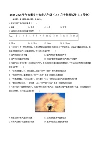 2025-2026学年安徽省六安市八年级（上）月考物理试卷（10月份）-自定义类型
