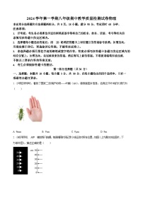 广东省广州市荔湾区西关广雅实验学校2024-2025学年八年级上学期期中考试物理试题（含答案）
