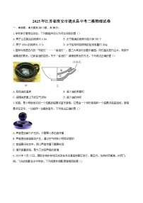 2025年江苏省淮安市涟水县中考二模物理试卷-自定义类型