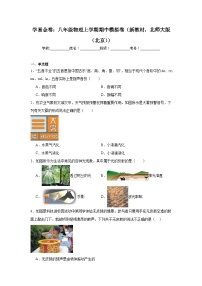 2025-2026学年北京市八年级上学期期中模拟物理试题
