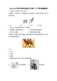 天津市河北区2024-2025学年八年级下学期期中考试物理试卷（解析版）