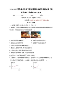 江苏省南京市2024-2025学年八年级下学期期中卷物理试卷（解析版）