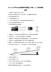 山东省淄博市临淄区2024-2025学年八年级上学期期末物理试卷（解析版）