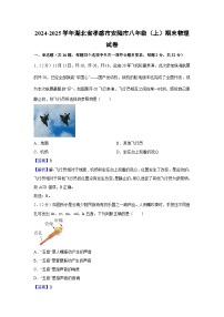湖北省孝感市安陆市2024-2025学年八年级上学期期末物理试卷