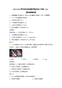 四川省成都市锦江区2024-2025学年八年级上学期期末物理试卷
