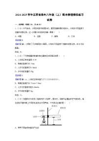 江苏省泰州2024-2025学年八年级上学期期末模拟练习物理试卷