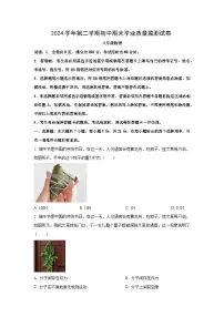 广东省清远市英德市2024-2025学年八年级下学期期末物理试卷（学生版）