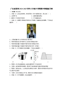 广东省深圳市2024-2025学年八年级下学期期中练习卷物理试卷（解析版）