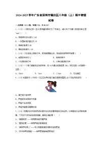 广东省深圳市福田区2024-2025学年八年级上学期期中考试物理试卷（解析版）