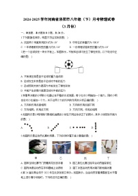 河南省洛阳市2024-2025学年八年级下学期月考（3月份）物理试卷（解析版）