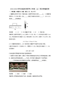 河南省洛阳市2022-2023学年八年级上学期期末考试物理试卷（解析版）