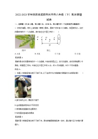 陕西省咸阳市兴平市2022-2023学年八年级下学期期末物理试卷（解析版）