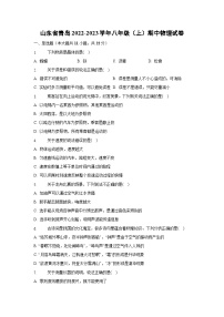 山东省青岛市2022—2023学年上学期八年级期中物理（含答案）物理试卷