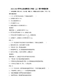 山东省青岛2024-2025学年八年级上学期期中考试物理物理试卷