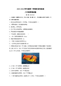 山东省青岛2023-2024学年八年级上学期期中物理（含解析）物理试卷
