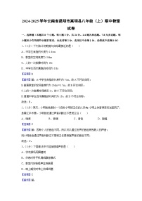 云南省昆明市嵩明县2024-2025学年八年级上学期期中物理试卷