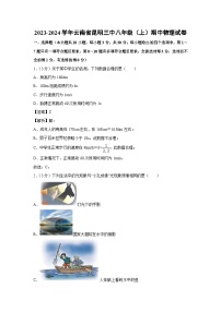 云南省昆明市2023-2024学年上学期八年级期中物理试卷