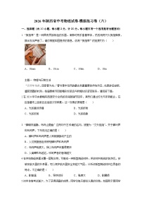2026年陕西省中考物理试卷-模拟练习卷（六）【含解析】