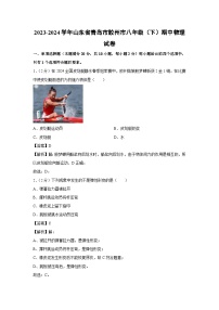 山东省青岛市胶州市2023-2024学年八年级下学期期中物理试卷