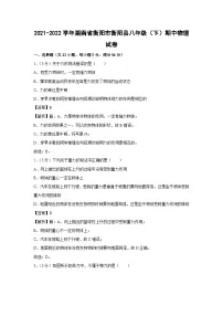 湖南省衡阳市衡阳县2021-2022学年八年级下学期期中物理试卷