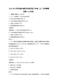 湖北省武汉市经开区2024-2025学年八年级上学期月考（10月份）物理试卷