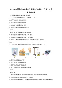 山东省德州市乐陵市2023-2024学年八年级上学期第二次月考物理物理试卷