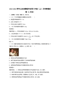 山东省聊城市东阿2023-2024学年八年级上学期月考物理（1月份）物理试卷