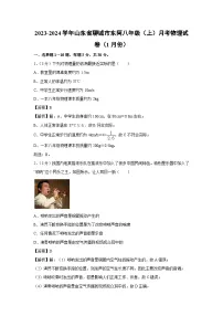 山东省聊城市东阿2023-2024学年八年级上学期月考物理（1月份）物理试卷