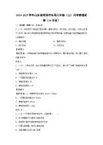 山东省菏泽市东明县2024-2025学年八年级上学期10月月考物理物理试卷