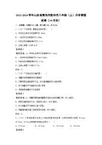 山东省青岛市胶州市2023-2024学年八年级上学期月考物理（10月份）物理试卷
