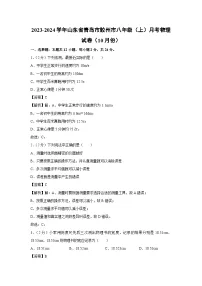 山东省青岛市胶州市2023-2024学年八年级上学期月考物理（10月份）物理试卷