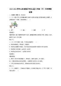 山东省临沂市兰山区2023-2024学年八年级下学期月考物理试卷