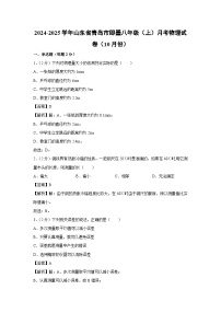 山东青岛即墨区2024-2025学年八年级上学期10月月考物理物理试卷