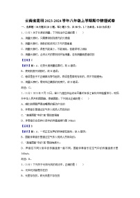 云南省昆明2023-2024学年八年级上学期期中物理试卷
